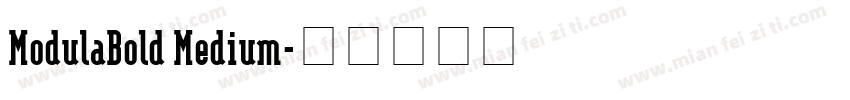 ModulaBold Medium字体转换